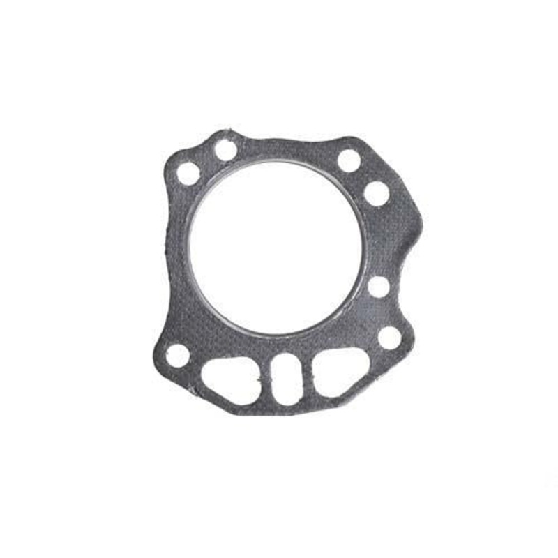 EZGO RXV Head Gasket (Years 2008-Up) PN# 7600