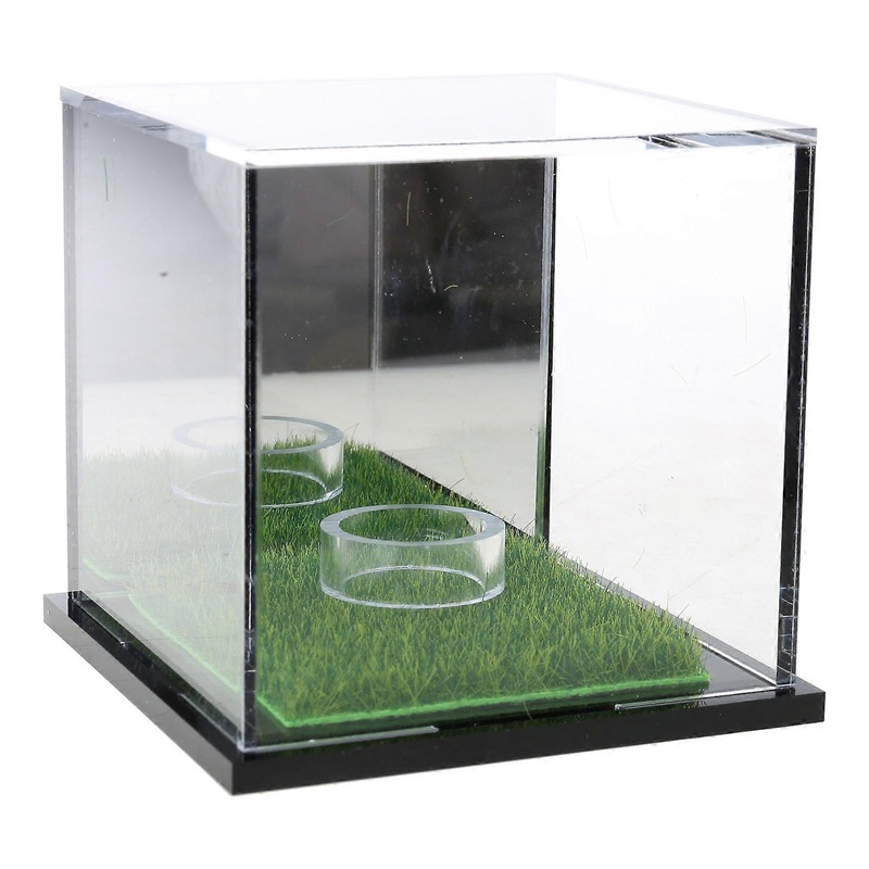 Acrylic Square Golf Balls Holder Clear Display Box Clear Golf Baseball Display Case Small Golf Balls Box Golf Accessories