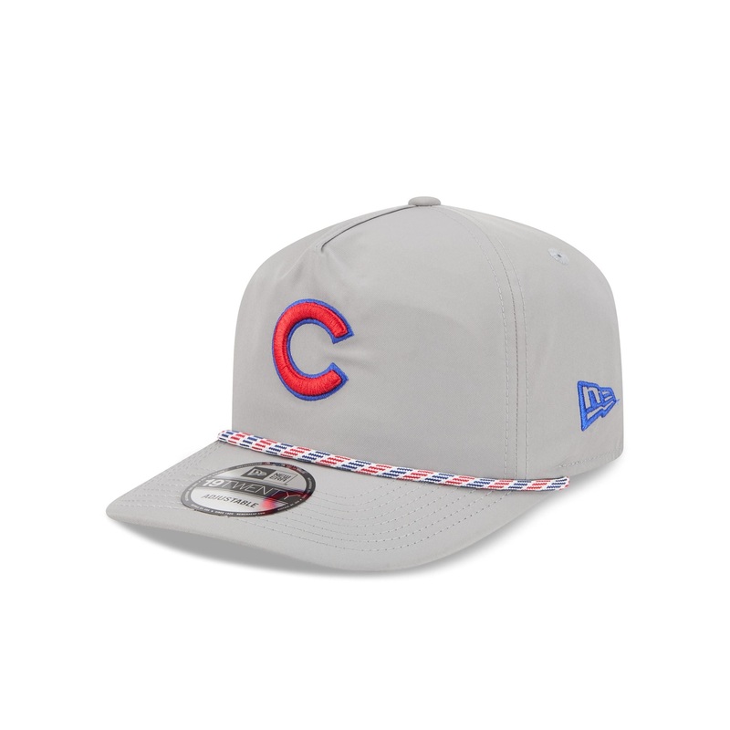 Chicago Cubs Gray 19TWENTY Snapback Hat